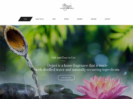 Dejaci Web Ssample